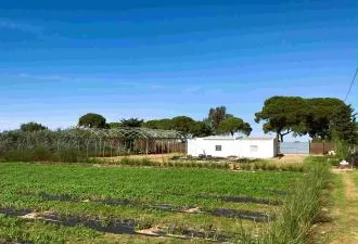  Excelente terreno a 3 minutos de la playa de Costa Ballena, Chipiona (Cádiz),  apto para realizar camping