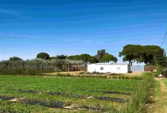  Excelente terreno a 3 minutos de la playa de Costa Ballena, Chipiona (Cádiz),  autorizacion ayuntamiento para realizar camping