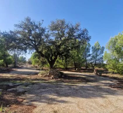 Venta de Camping en Chirivel Granada