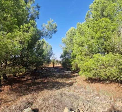 Venta de Camping en Chirivel Granada