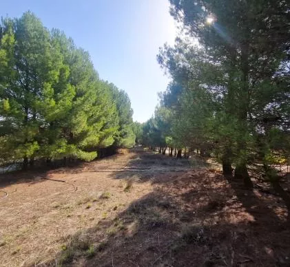 Venta de Camping en Chirivel Granada