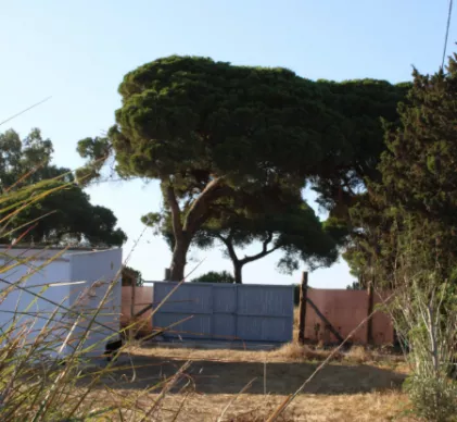  Excelente terreno a 3 minutos de la playa de Costa Ballena, Chipiona (Cádiz),  autorizacion ayuntamiento para realizar camping