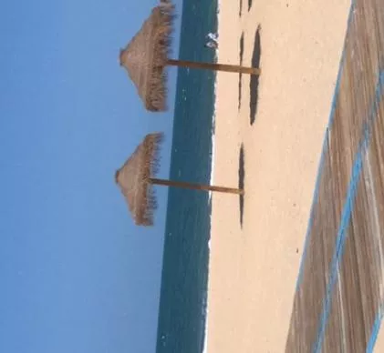  Excelente terreno a 3 minutos de la playa de Costa Ballena, Chipiona (Cádiz),  autorizacion ayuntamiento para realizar camping