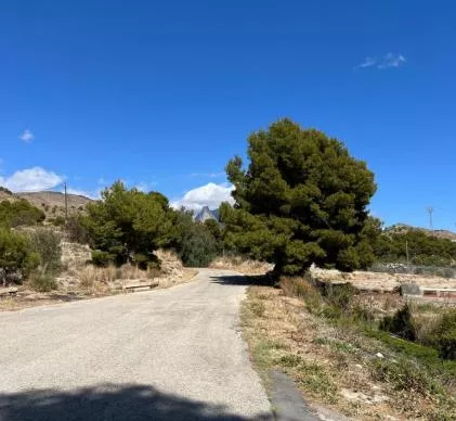 Finca con proyecto camper en la Costa Blanca