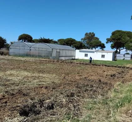 Oportunidad terreno 8100 m 2 informe favorable para hacer camping, 2 minutas de playa costa ballena, CHIPIONA, CADIZ