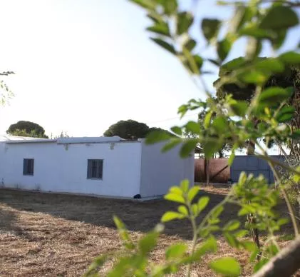 Oportunidad terreno 8100 m 2 informe favorable para hacer camping, 2 minutas de playa costa ballena, CHIPIONA, CADIZ