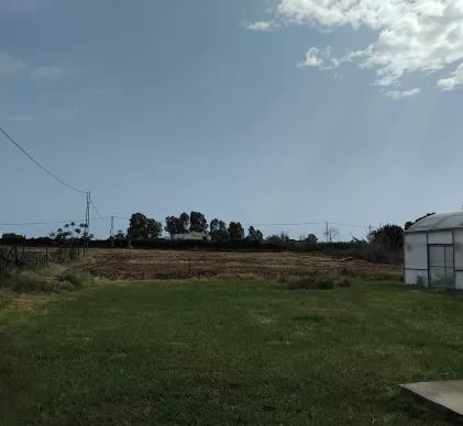 Oportunidad terreno 8100 m 2 informe favorable para hacer camping, 2 minutas de playa costa ballena, CHIPIONA, CADIZ